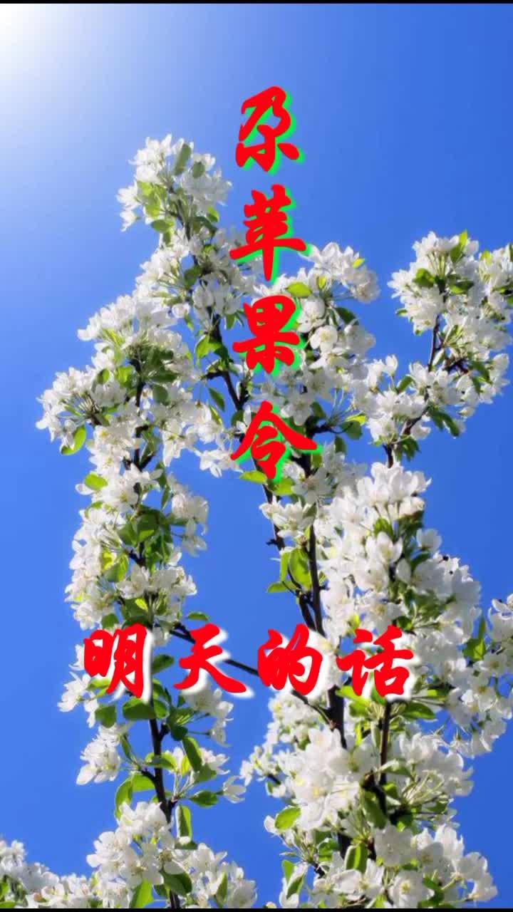 尕苹果令魔性平板加长版(尕苹果令歌曲mp3)-第2张图片-太平洋在线下载