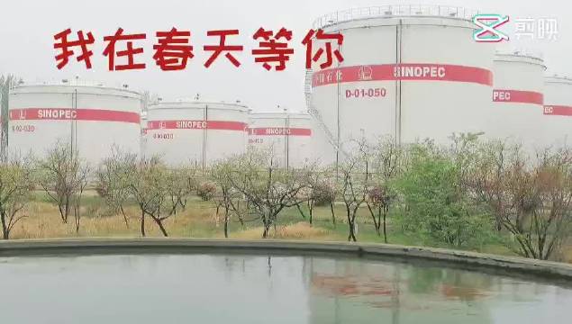 中石化客户端(中石化移动客户端)-第2张图片-太平洋在线下载