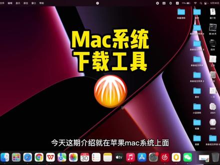 苹果咋样登陆拼多多商家版(苹果手机怎么登录拼多多)-第2张图片-太平洋在线下载