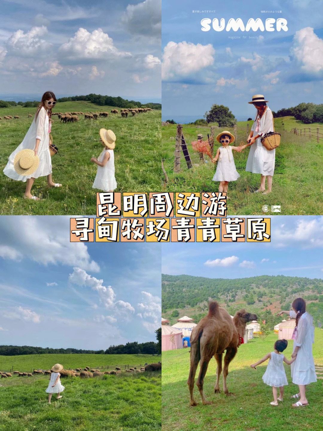 青青草原网站手机版(手机地图上是可以找到青青草原的)