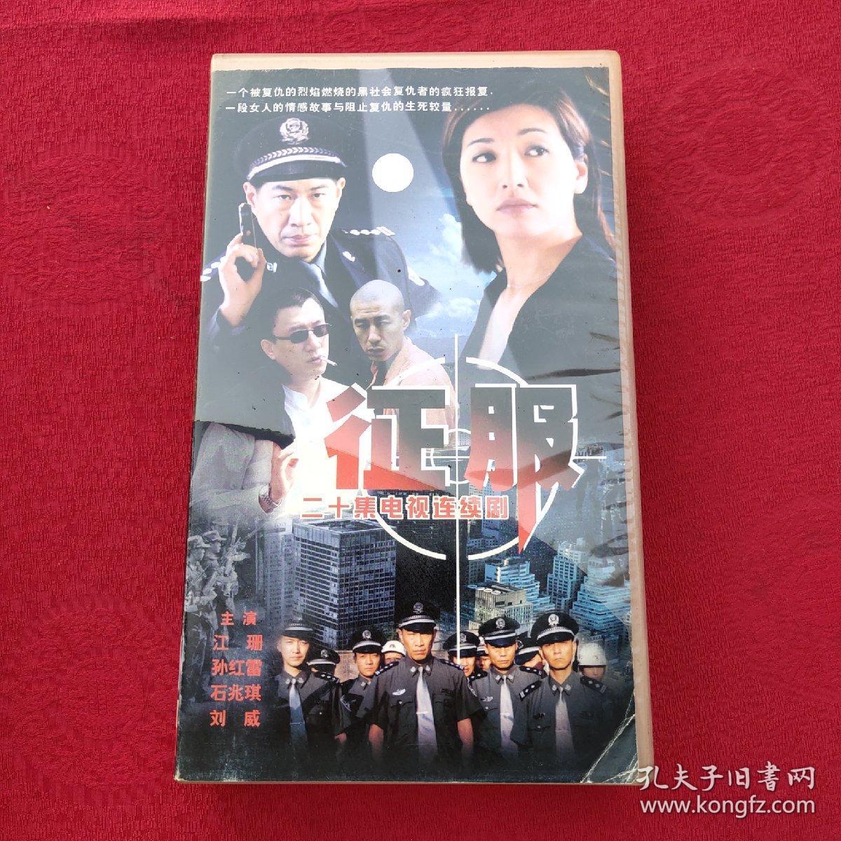 电视剧征服完整版免费手机版(征服电视剧免费19集完整版)