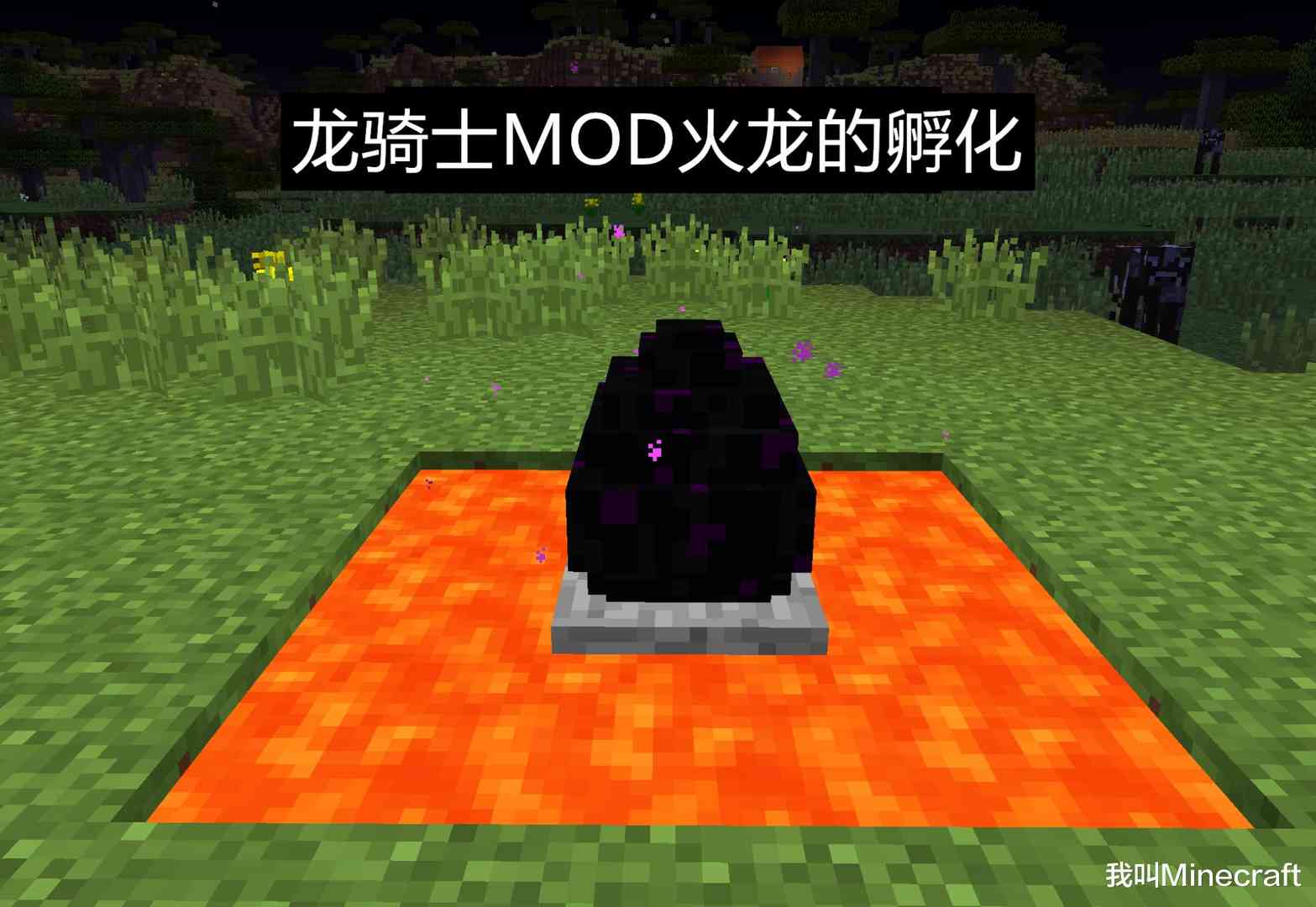 我的世界手机版有龙蛋(我的世界手机版龙蛋孵化教程视频)