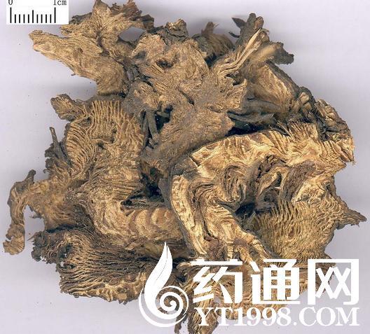 中药材药通网手机版(中药材药通网下载)