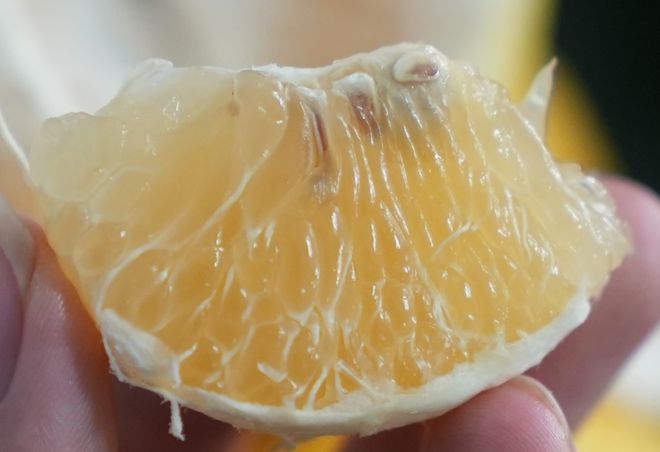 铜钱贷苹果版铜钱贷app下载苹果版