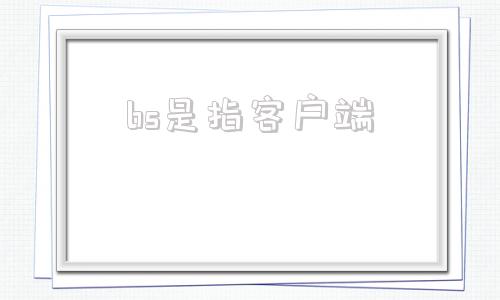 bs是指客户端bs渠道是指哪个