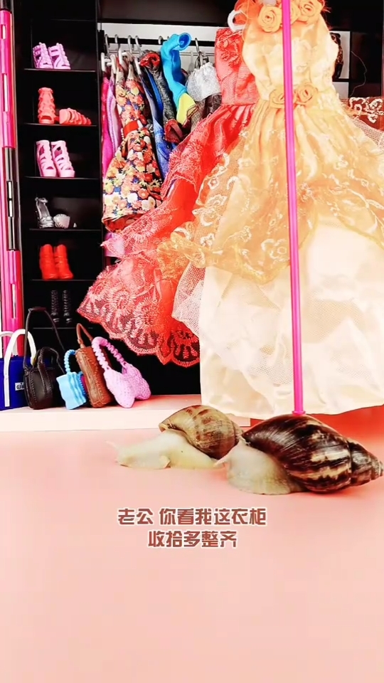 蜗牛衣橱安卓版蜗牛衣橱app下载安卓-第2张图片-太平洋在线下载