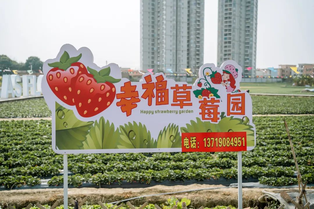 花房直播苹果版花房直播间怎么样-第2张图片-太平洋在线下载